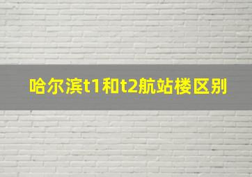 哈尔滨t1和t2航站楼区别