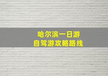 哈尔滨一日游自驾游攻略路线