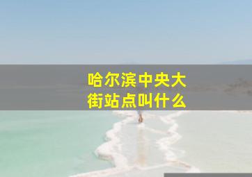 哈尔滨中央大街站点叫什么