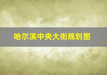 哈尔滨中央大街规划图