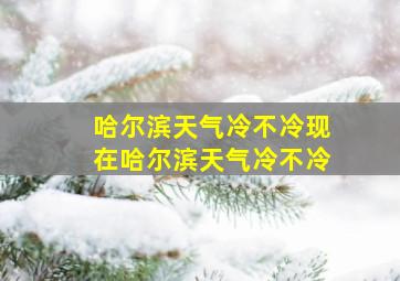 哈尔滨天气冷不冷现在哈尔滨天气冷不冷