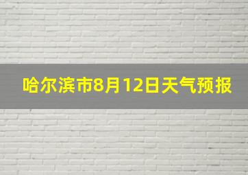 哈尔滨市8月12日天气预报