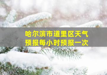 哈尔滨市道里区天气预报每小时预报一次