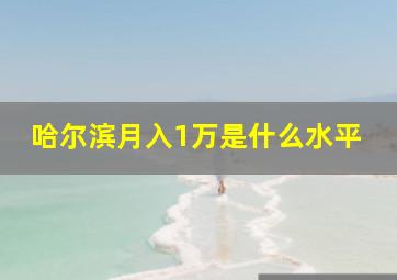 哈尔滨月入1万是什么水平