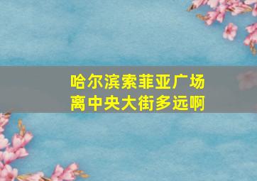 哈尔滨索菲亚广场离中央大街多远啊