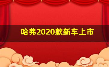 哈弗2020款新车上市