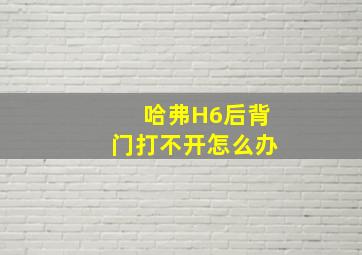 哈弗H6后背门打不开怎么办