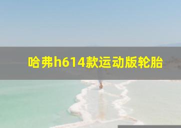 哈弗h614款运动版轮胎