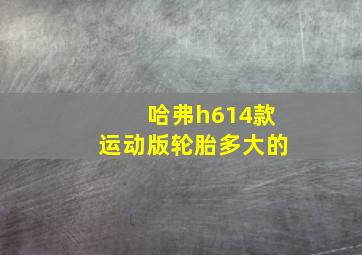 哈弗h614款运动版轮胎多大的