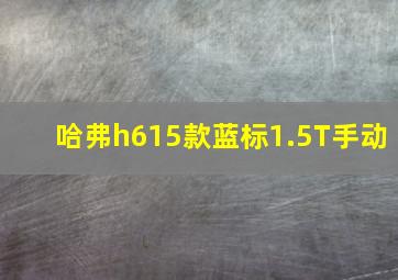 哈弗h615款蓝标1.5T手动