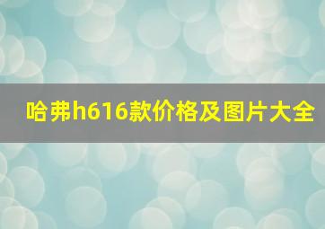 哈弗h616款价格及图片大全