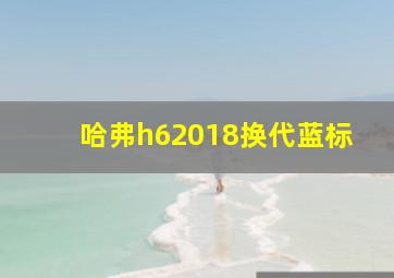 哈弗h62018换代蓝标