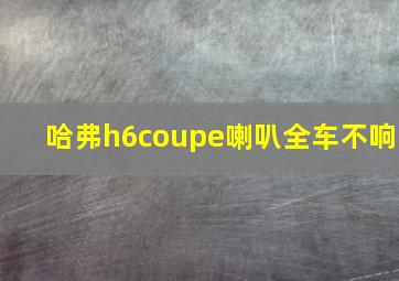 哈弗h6coupe喇叭全车不响