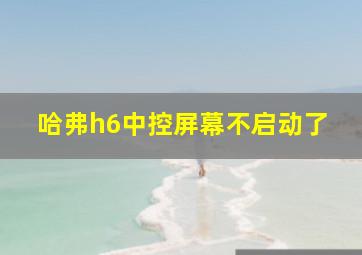 哈弗h6中控屏幕不启动了