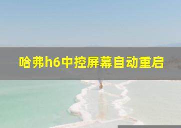 哈弗h6中控屏幕自动重启