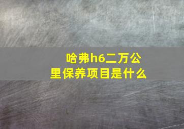 哈弗h6二万公里保养项目是什么