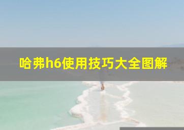 哈弗h6使用技巧大全图解