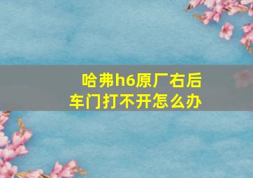 哈弗h6原厂右后车门打不开怎么办