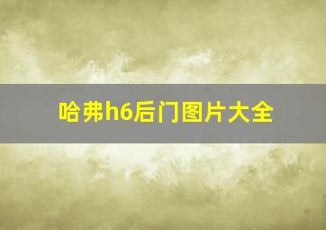 哈弗h6后门图片大全