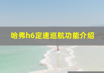 哈弗h6定速巡航功能介绍