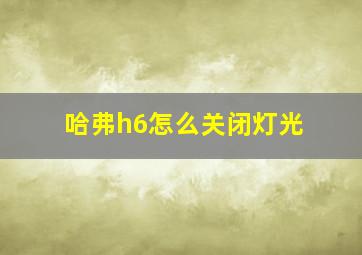 哈弗h6怎么关闭灯光