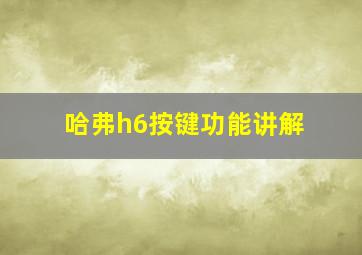 哈弗h6按键功能讲解