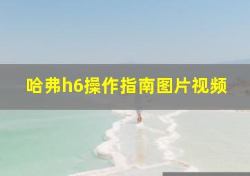 哈弗h6操作指南图片视频