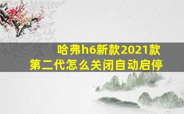 哈弗h6新款2021款第二代怎么关闭自动启停