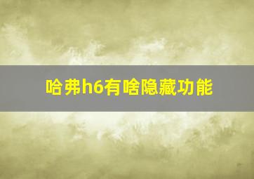 哈弗h6有啥隐藏功能