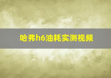 哈弗h6油耗实测视频