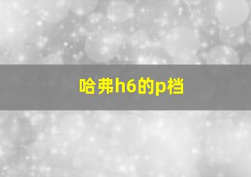 哈弗h6的p档