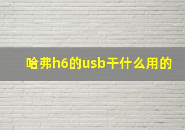 哈弗h6的usb干什么用的