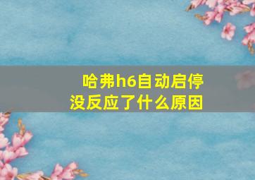 哈弗h6自动启停没反应了什么原因