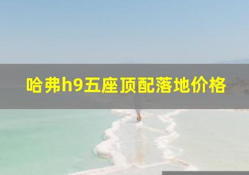 哈弗h9五座顶配落地价格