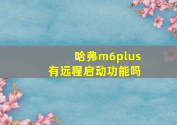 哈弗m6plus有远程启动功能吗