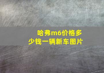 哈弗m6价格多少钱一辆新车图片