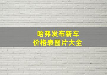 哈弗发布新车价格表图片大全