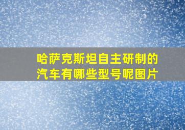 哈萨克斯坦自主研制的汽车有哪些型号呢图片