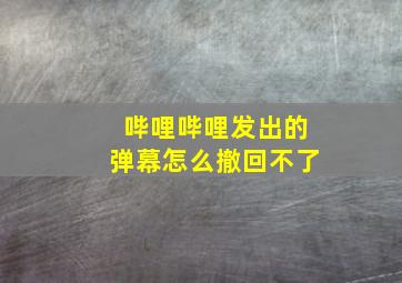 哔哩哔哩发出的弹幕怎么撤回不了