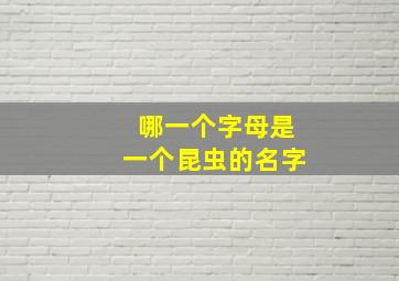 哪一个字母是一个昆虫的名字