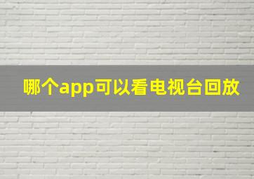 哪个app可以看电视台回放