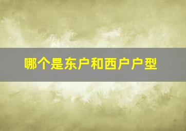 哪个是东户和西户户型