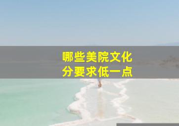 哪些美院文化分要求低一点