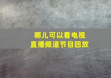 哪儿可以看电视直播频道节目回放