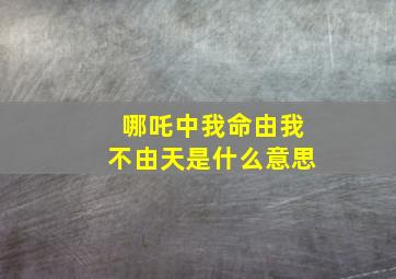 哪吒中我命由我不由天是什么意思