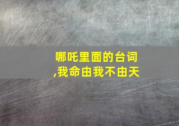 哪吒里面的台词,我命由我不由天