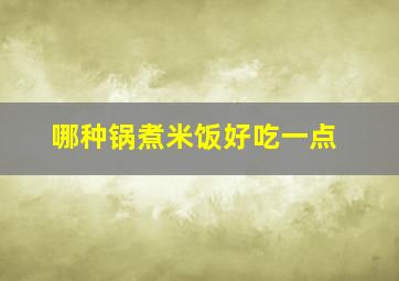 哪种锅煮米饭好吃一点