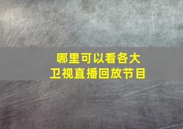 哪里可以看各大卫视直播回放节目