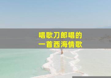 唱歌刀郎唱的一首西海情歌