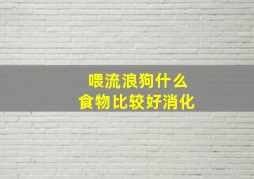 喂流浪狗什么食物比较好消化